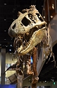 Kids_PNaSMuseum-2013 (26)